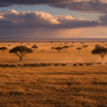 When to Visit Tanzania: A Month-by-Month Safari Planning Guide