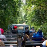 Planning a Kenya Safari with Kids: The Complete Family Guide
