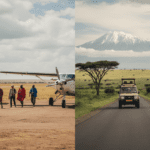 Ol Pejeta vs Masai Mara: A Detailed Comparison for Kenya Safari Travellers