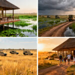 November vs December in Amboseli: Which Month Is Better?