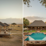 Eco Lodge vs Classic Safari Lodge in Amboseli