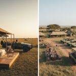 Luxury vs Mid-Range Safari Operator in Kenya: What Do You Actually Get