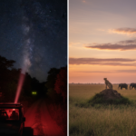 Night Game Drive vs Dawn Game Drive in the Masai Mara: Two Windows Into the Same Wild World
