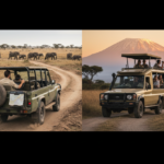 Self Drive Amboseli vs Guided Safari