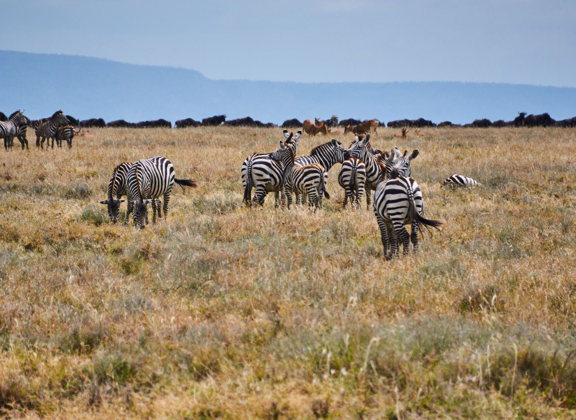 Aa Mara Lodge 4 Km From Sekenani Gate Maasai Mara