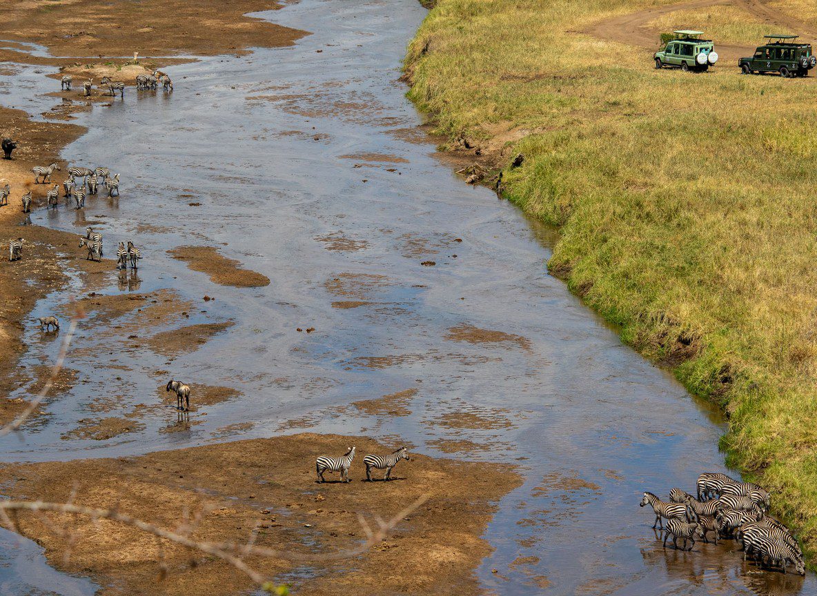 Aberdare National Park Safari