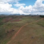 Aberdare Vs Mount Kenya National Park Guide