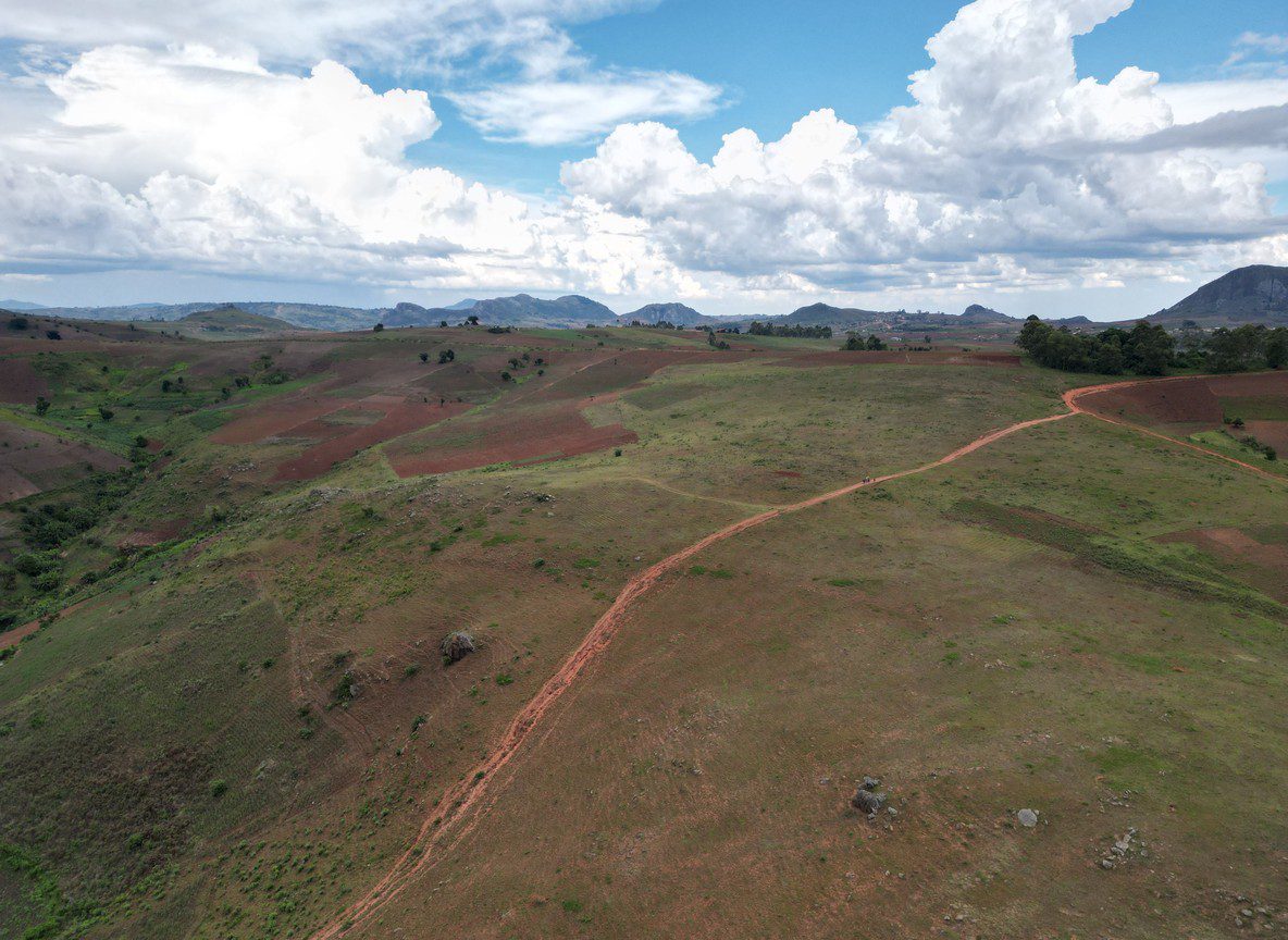 Aberdare Vs Mount Kenya National Park Guide