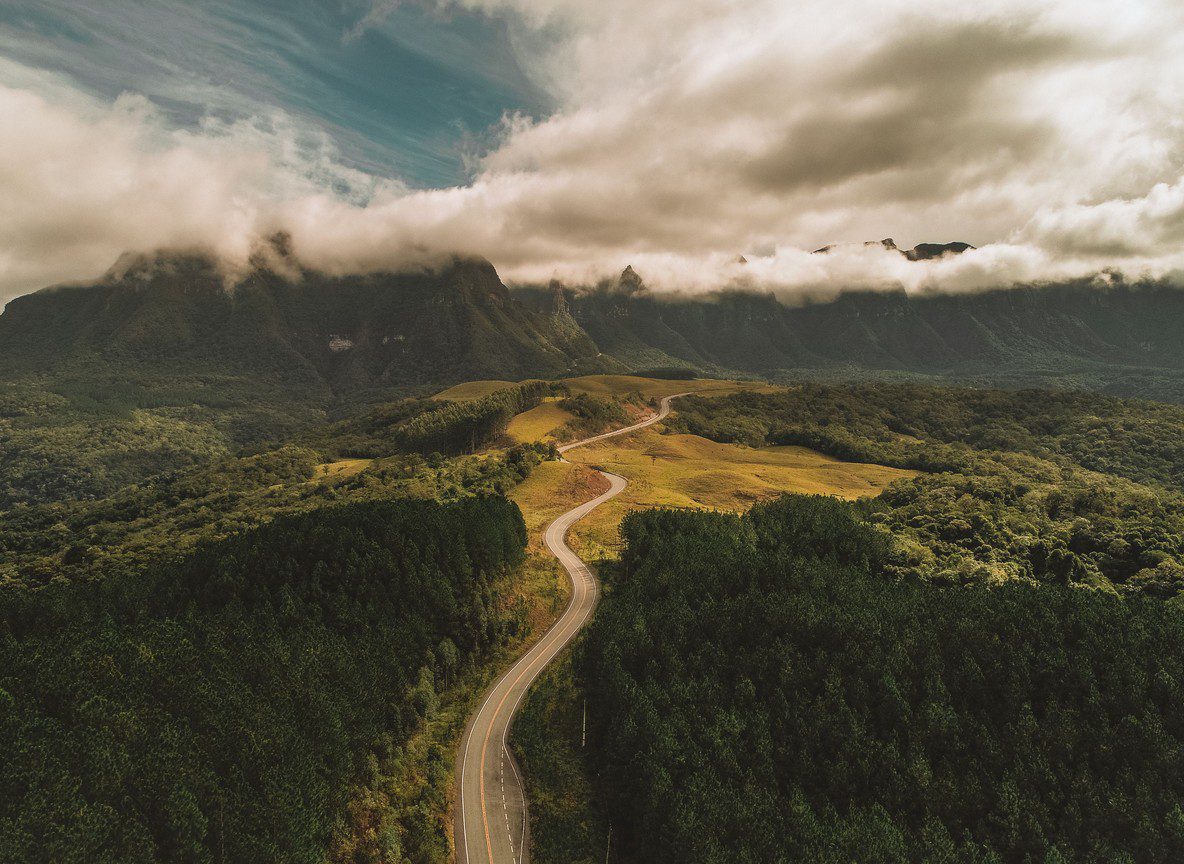 Aberdare Vs Mount Kenya National Park Guide