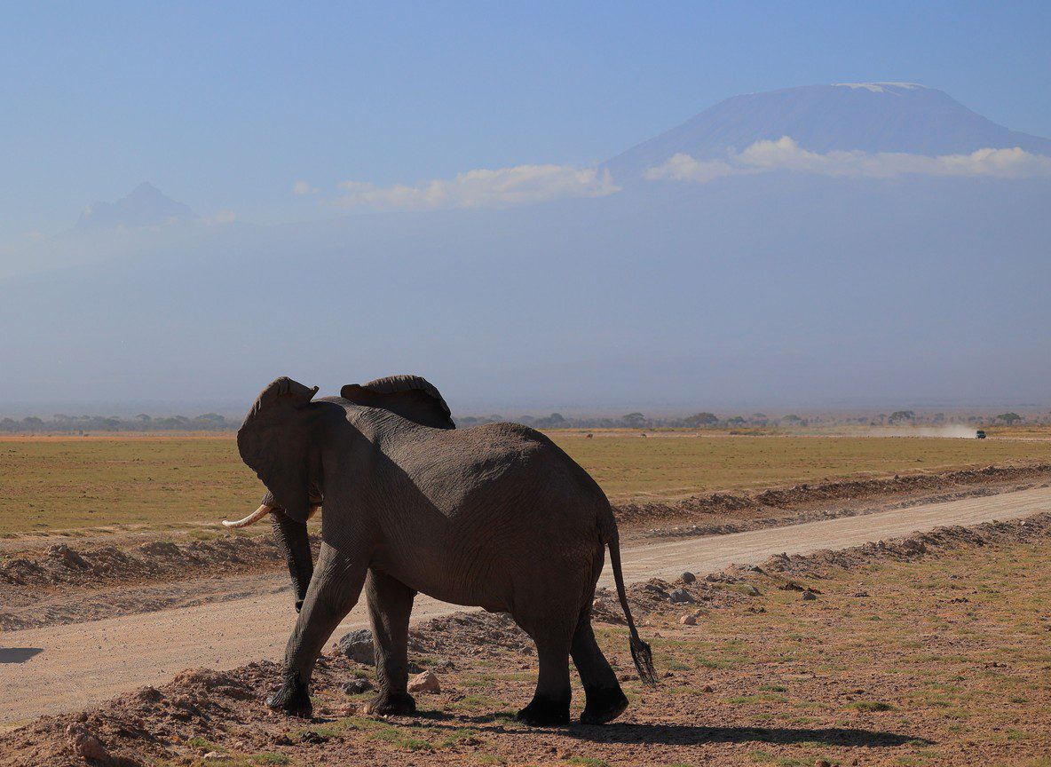 Amboseli Camps With Views Of Observation Hill
