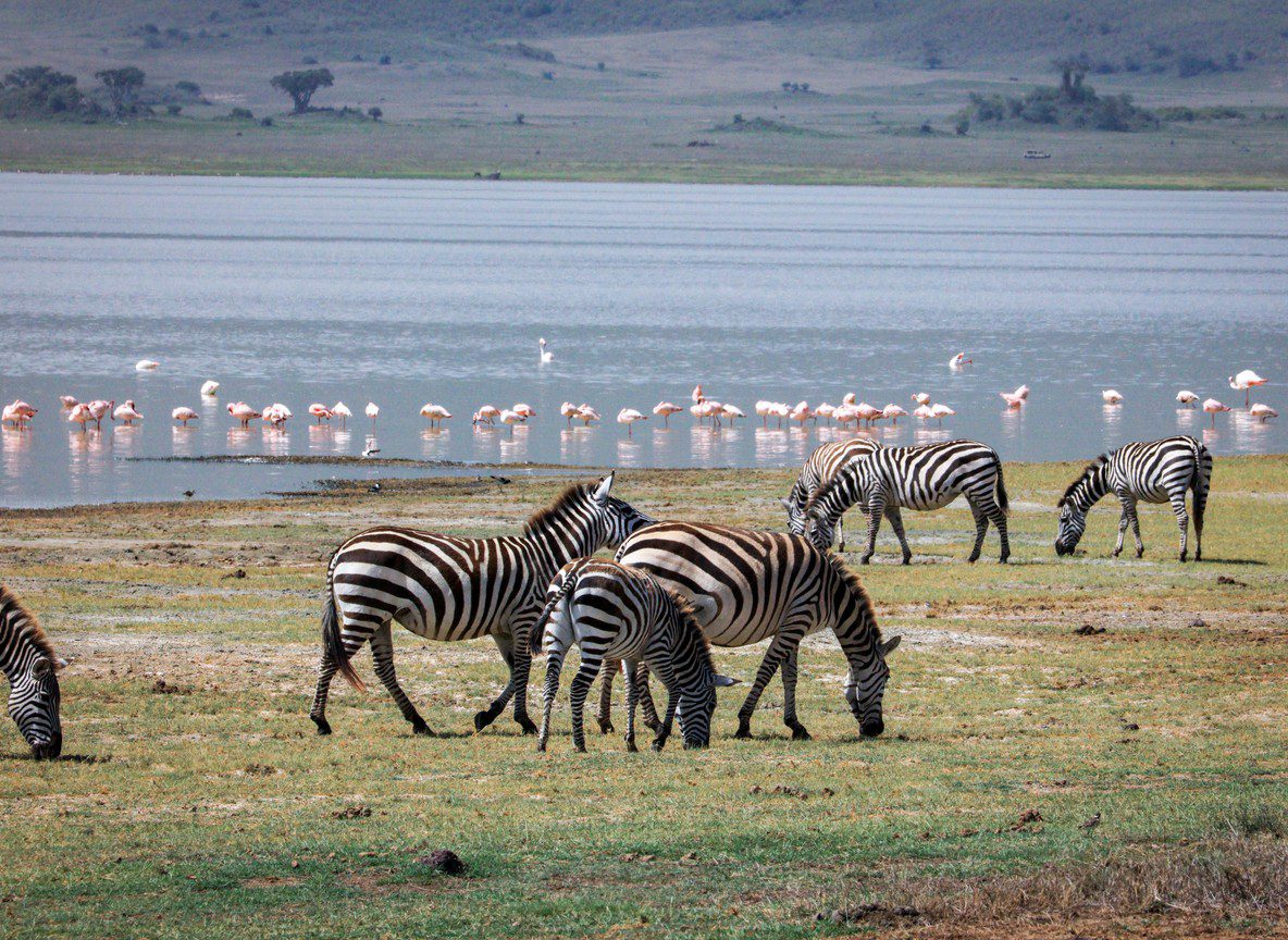 Amboseli From Emali Route Guide