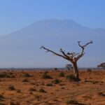 Amboseli In April