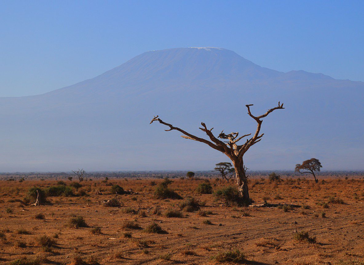 Amboseli In April
