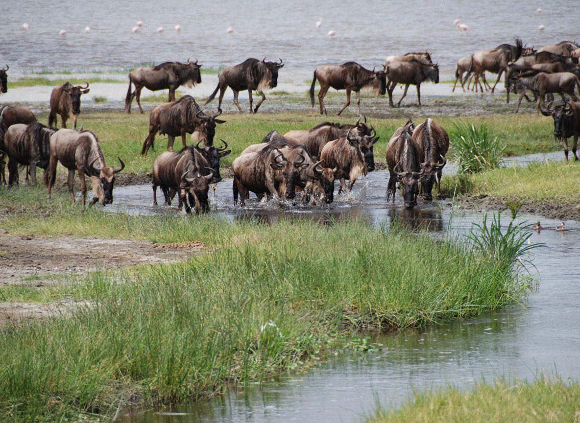 Amboseli Safari Packing List