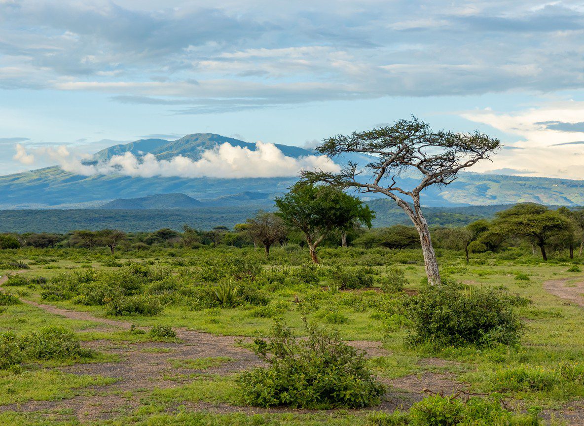 Amboseli Safari Packing List