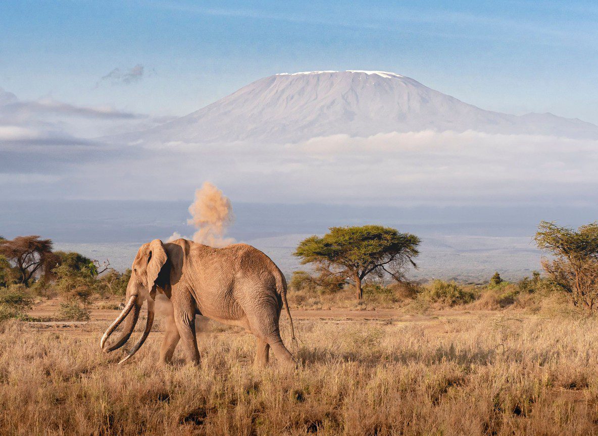 Amboseli Safari Vehicles Guide