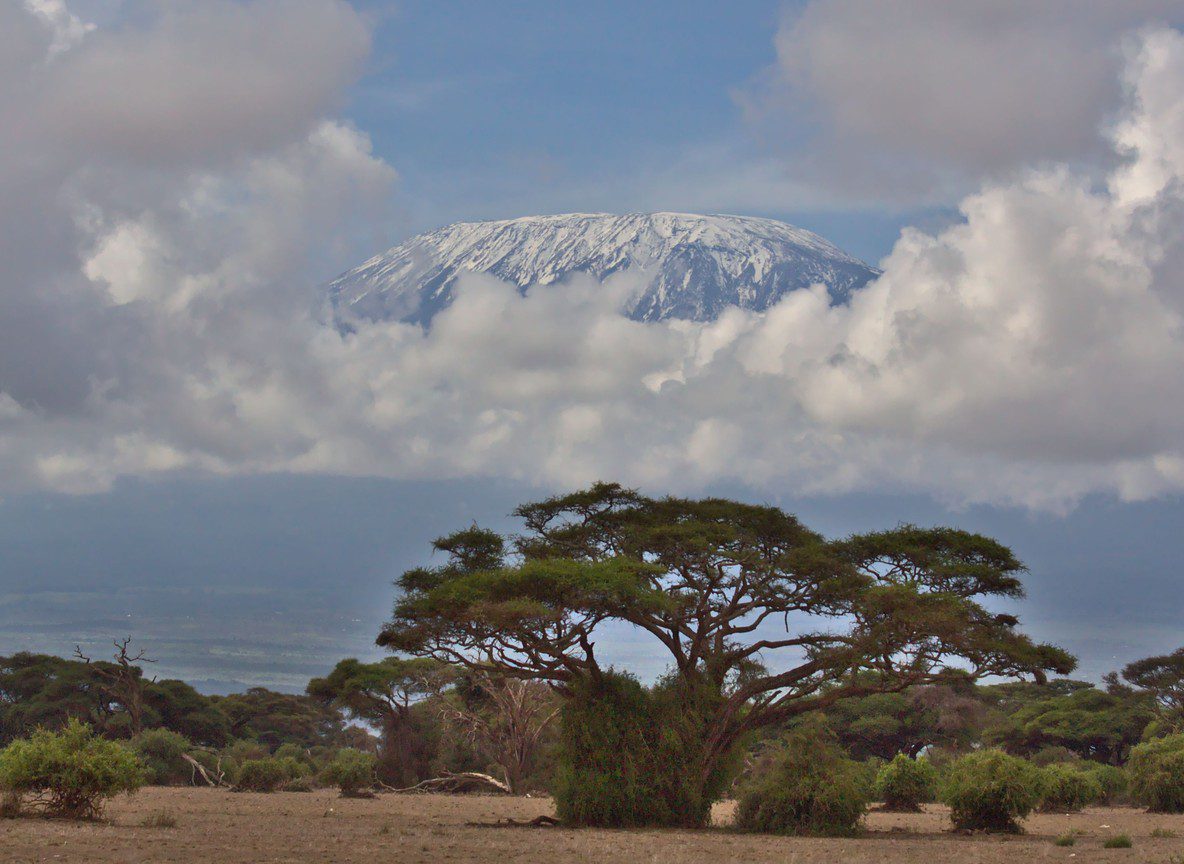 Amboseli Swamp Wildlife Vs Open Plains Wildlife