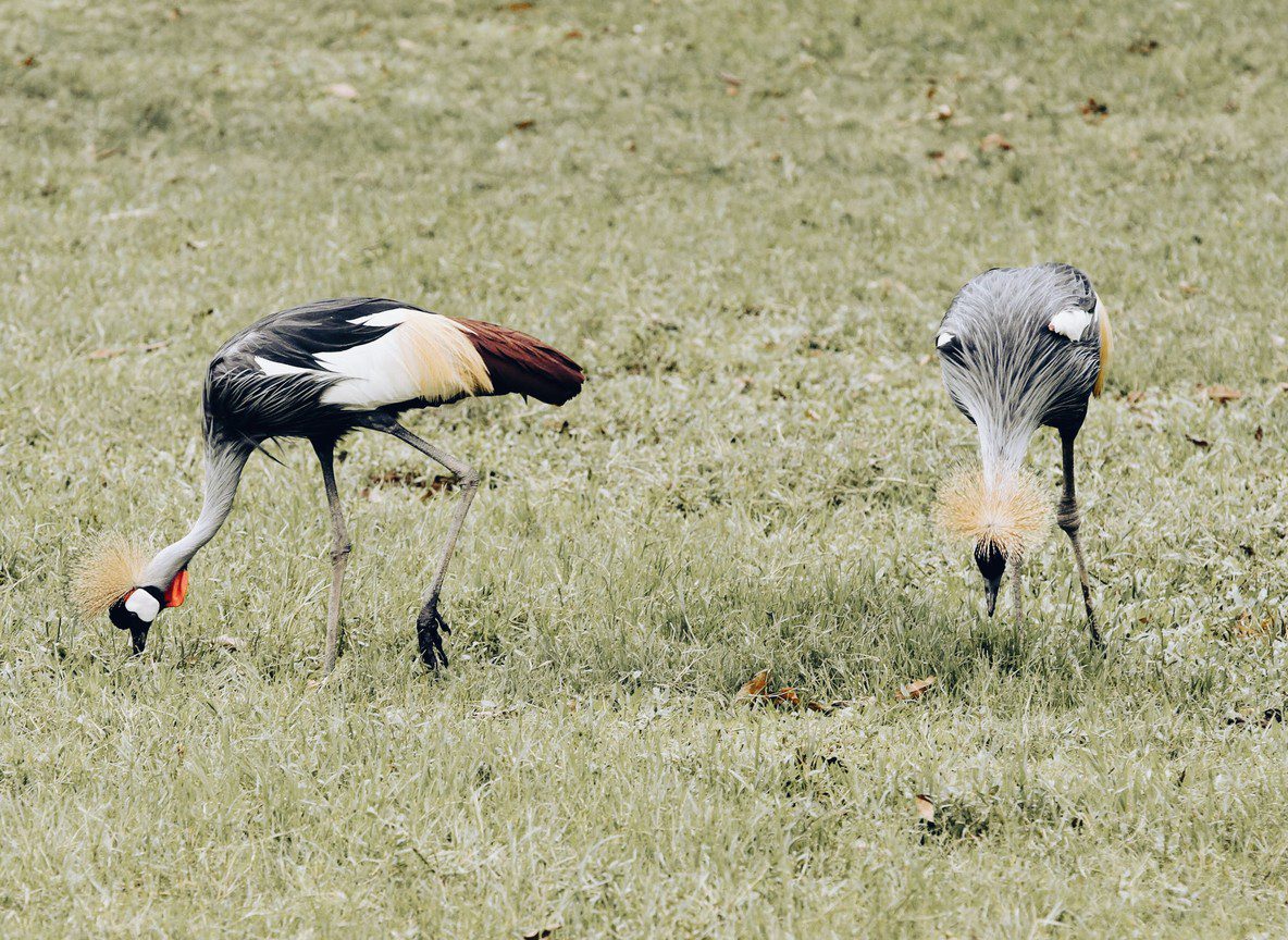 Amboseli Weather Month By Month Guide Refreshed
