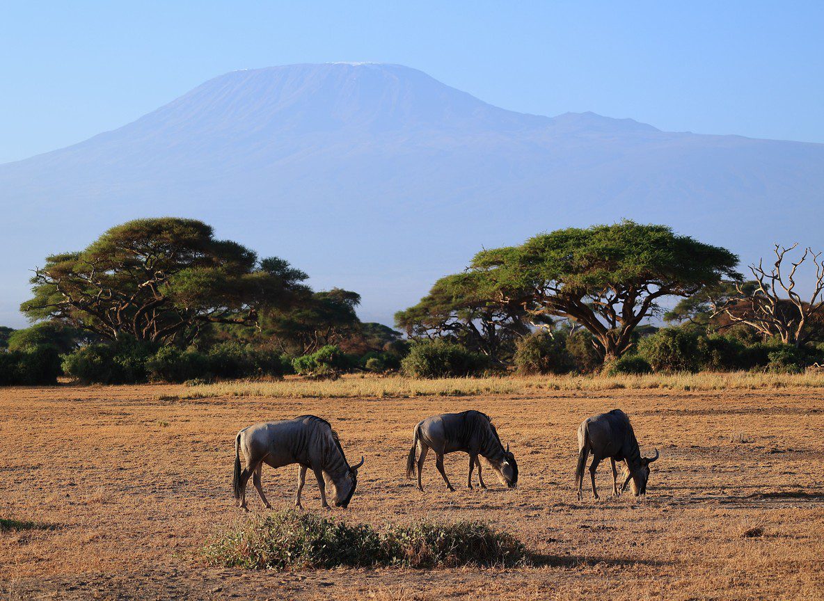 Best Area To Stay In Amboseli Guide