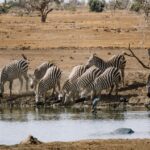 Best Place To Stay In Amboseli For First Timers