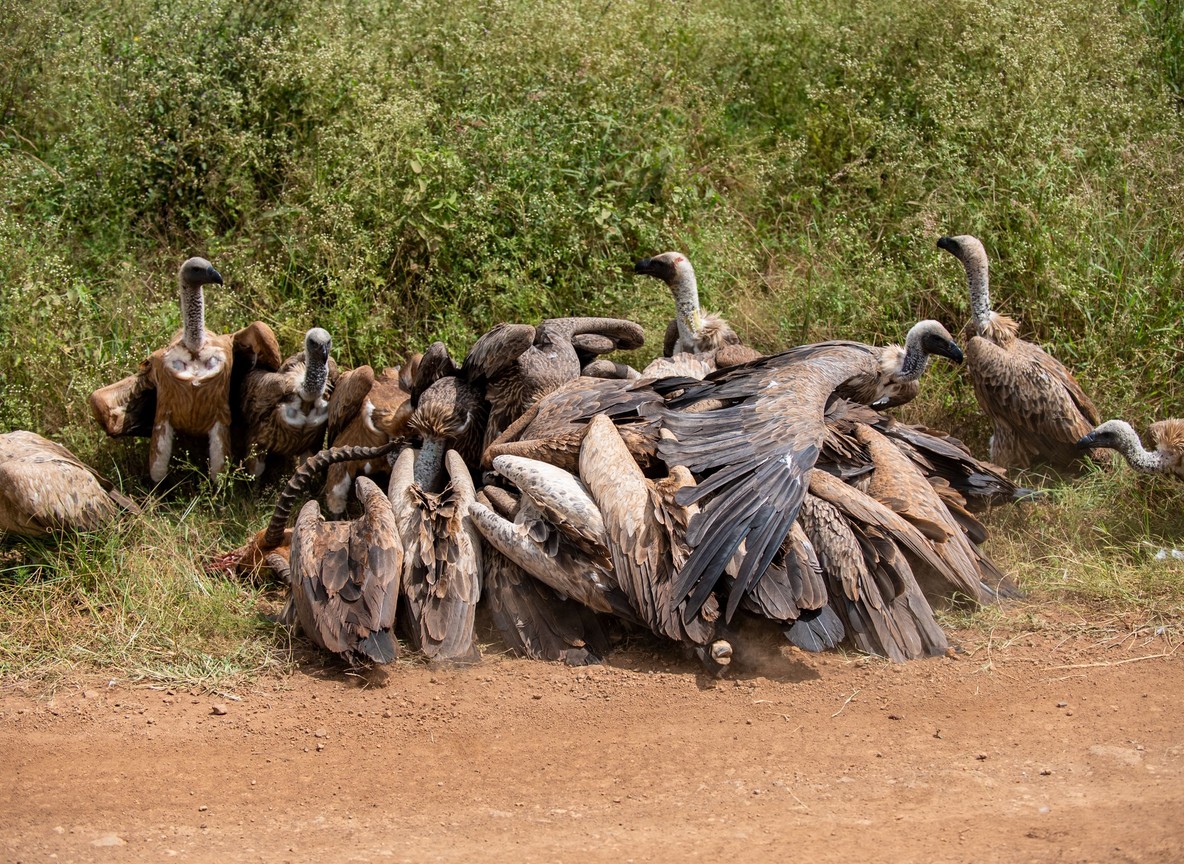 Crescent Island Naivasha