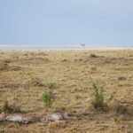 Eagle View Camp Mara Naboisho Conservancy Maasai Mara