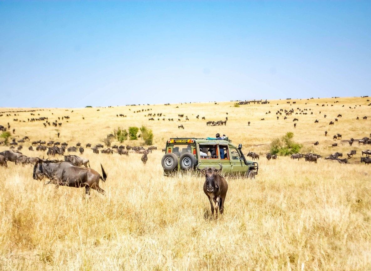 Fairmont Mara Safari Club Olchoro Oirowua Conservancy Maasai Mara