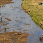 Family Vs Adults Only Safari Camp Guide