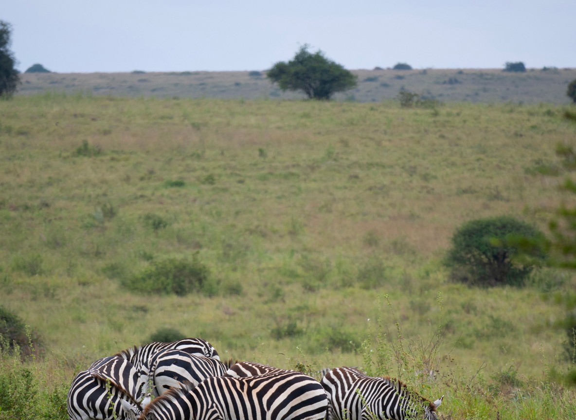 Fly Camping Safari Kenya