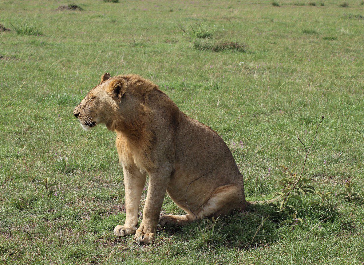 Hells Gate National Park Cycling Hiking Naivasha