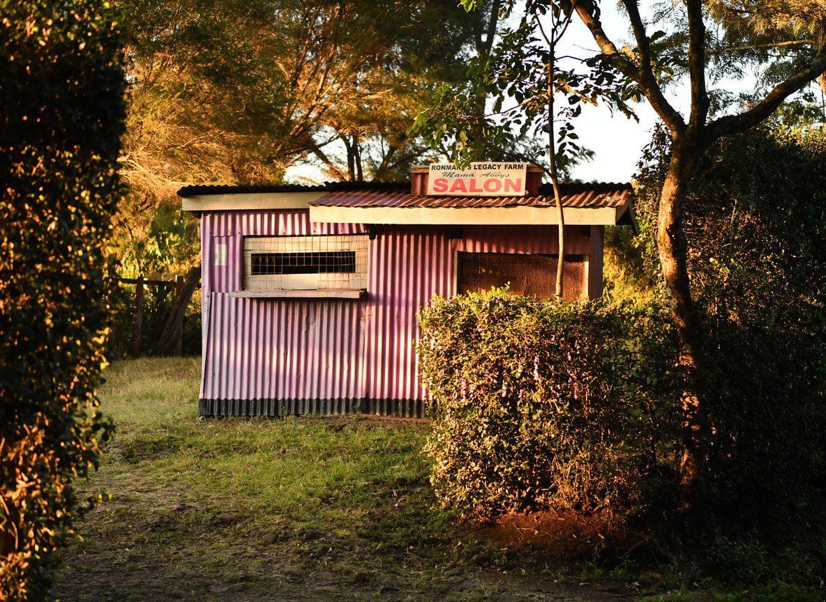 Karen Blixen Museum Nairobi Visitor Guide