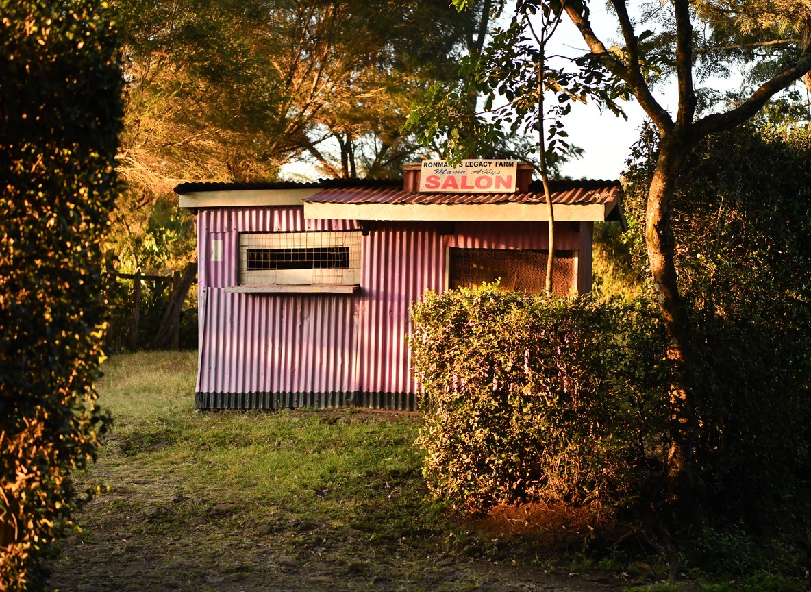 Karen Blixen Museum Nairobi Visitor Guide