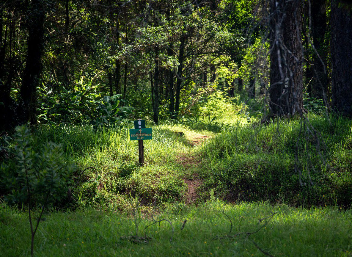 Karura Forest Nairobi Trails Wildlife Waterfalls
