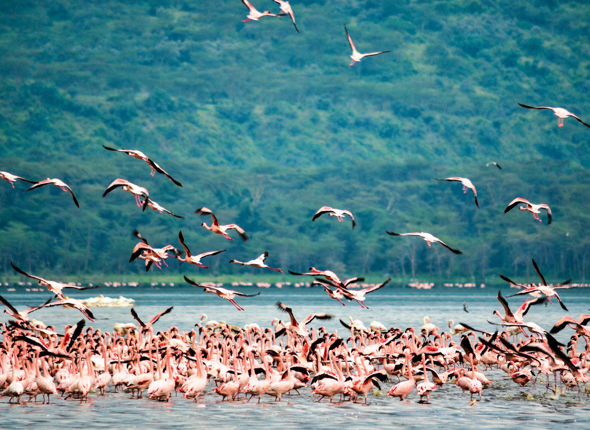 Kisumu Lake Victoria Kenya Travel Guide