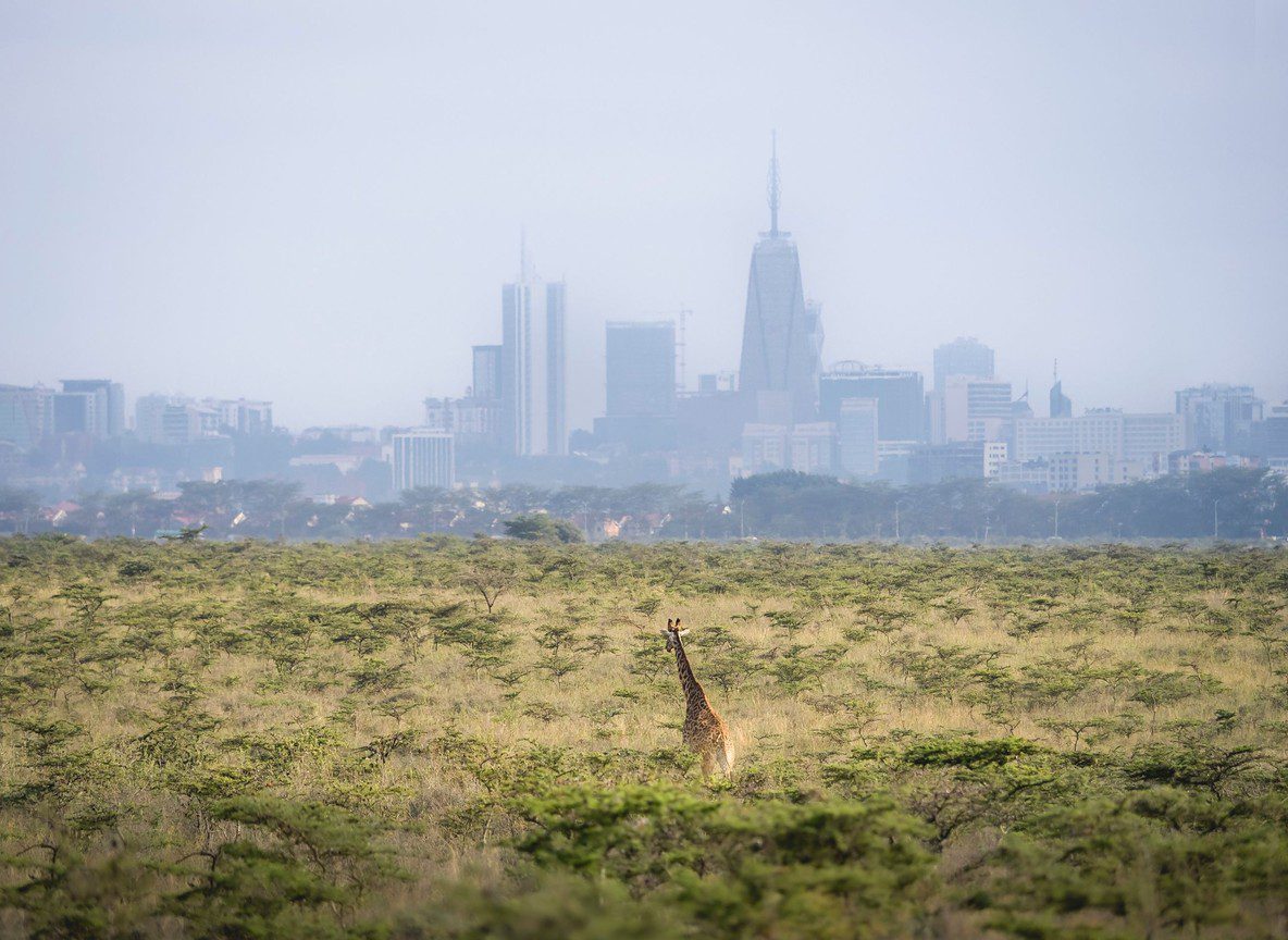 Mara Kempinski Olare Mara Kempinski Olare Motorogi Olare Orok Conservancy Maasai Mara