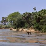 Neptune Mara Rianta Luxury Camp Mara North Conservancy Maasai Mara