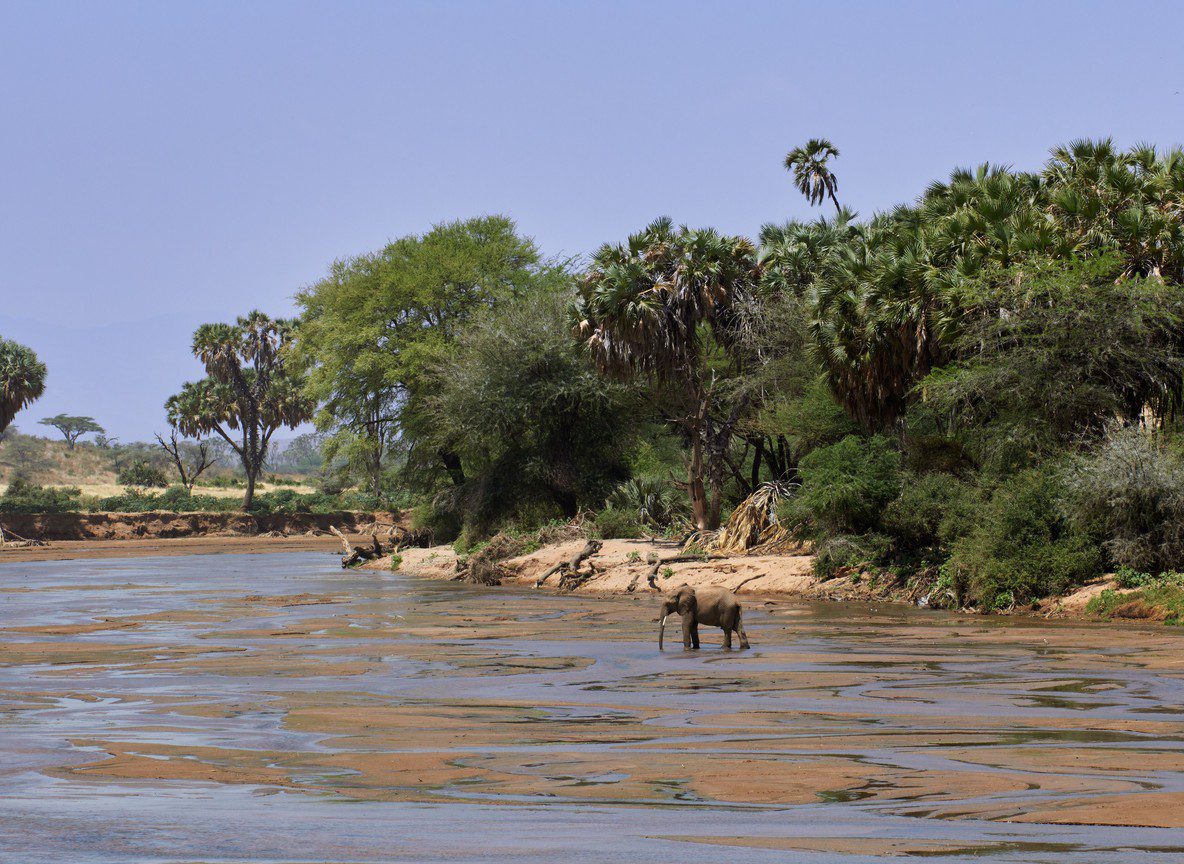 Neptune Mara Rianta Luxury Camp Mara North Conservancy Maasai Mara