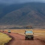 Northern Kenya Family Safari Guide Routes Pacing Kid Friendly Planning