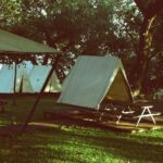 River View Vs Plains View Camp Masai Mara Guide