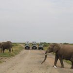 Royal Mara Safari Lodge Mara North Conservancy Maasai Mara