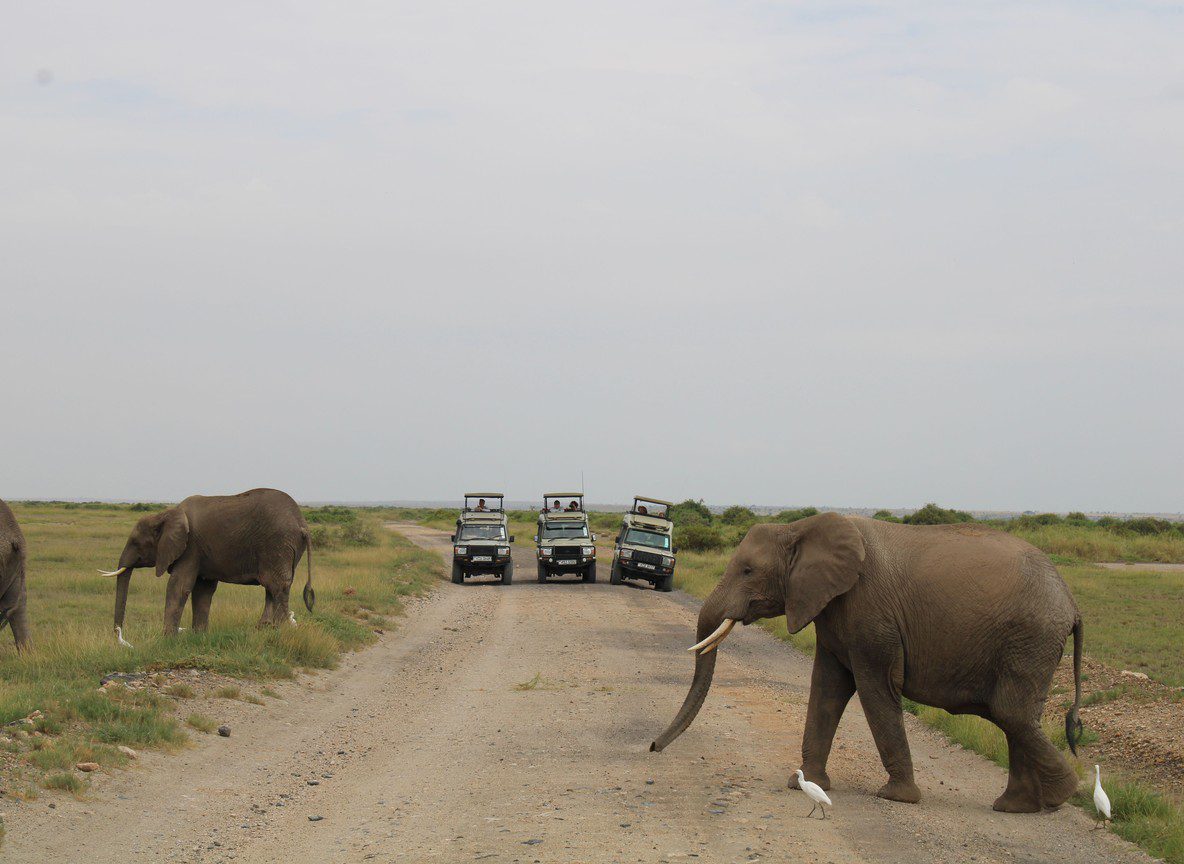 Royal Mara Safari Lodge Mara North Conservancy Maasai Mara