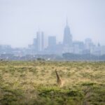 Seasons In Mara North