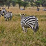 Seasons In Samburu