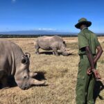 Serian The Original Mara North Conservancy Maasai Mara
