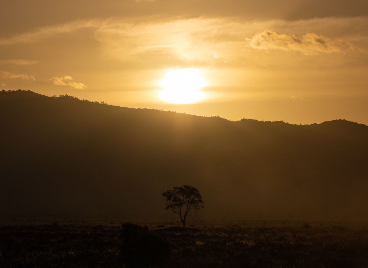 Tsavo West Safari Reviews What Travelers Say