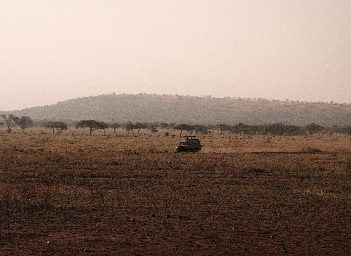 Tsavo West Safari Reviews What Travelers Say