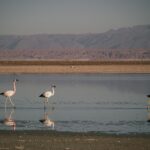 What To Wear In Lake Nakuru