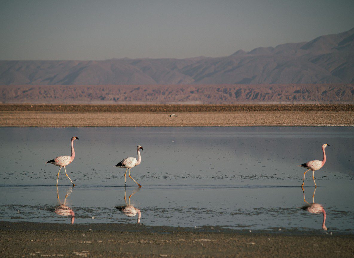 What To Wear In Lake Nakuru
