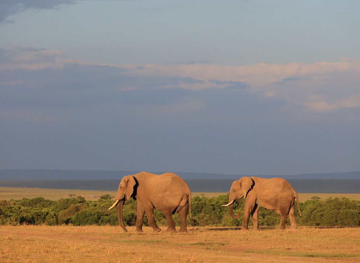 What To Wear In Lewa