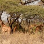 What To Wear In Mara North